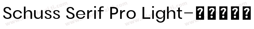 Schuss Serif Pro Light字体转换